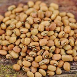 CowPeas
